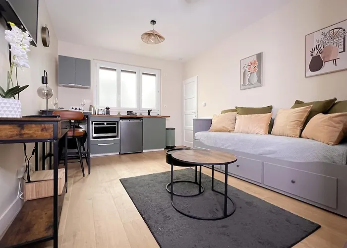 Le Pedestre - Appartement Cosy Hyper Centre-Ville De Dijon