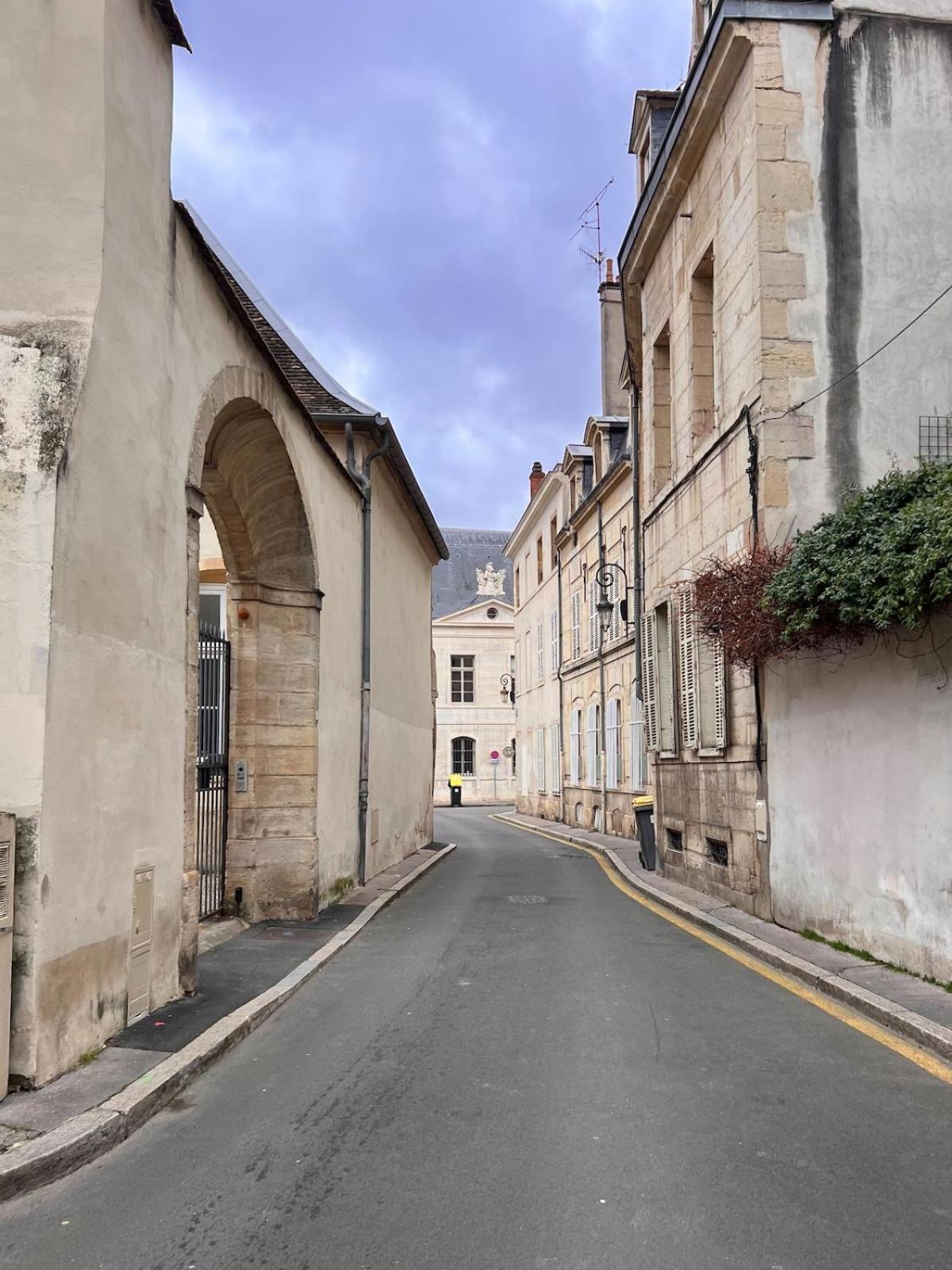 Le Pedestre - Cosy Hyper Centre-ville De Apartment Dijon